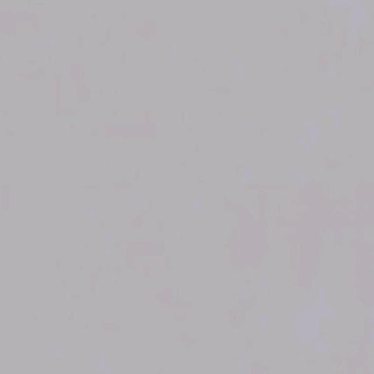 大咪咪