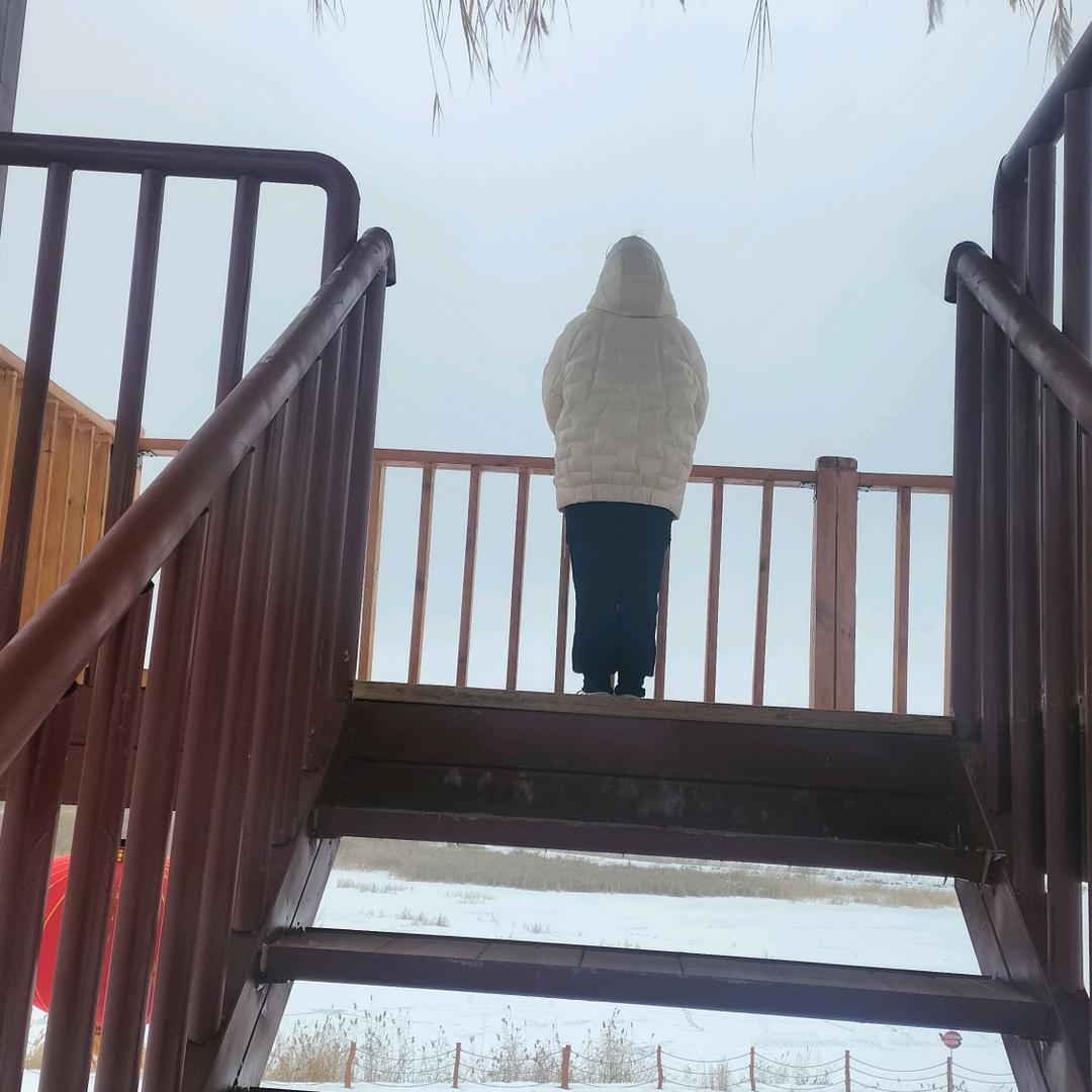 人生如火