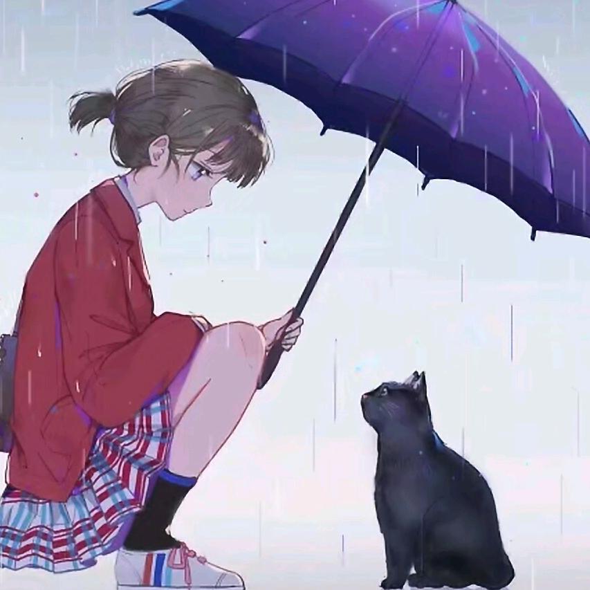 沈听雨