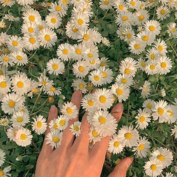 用户1386488576803