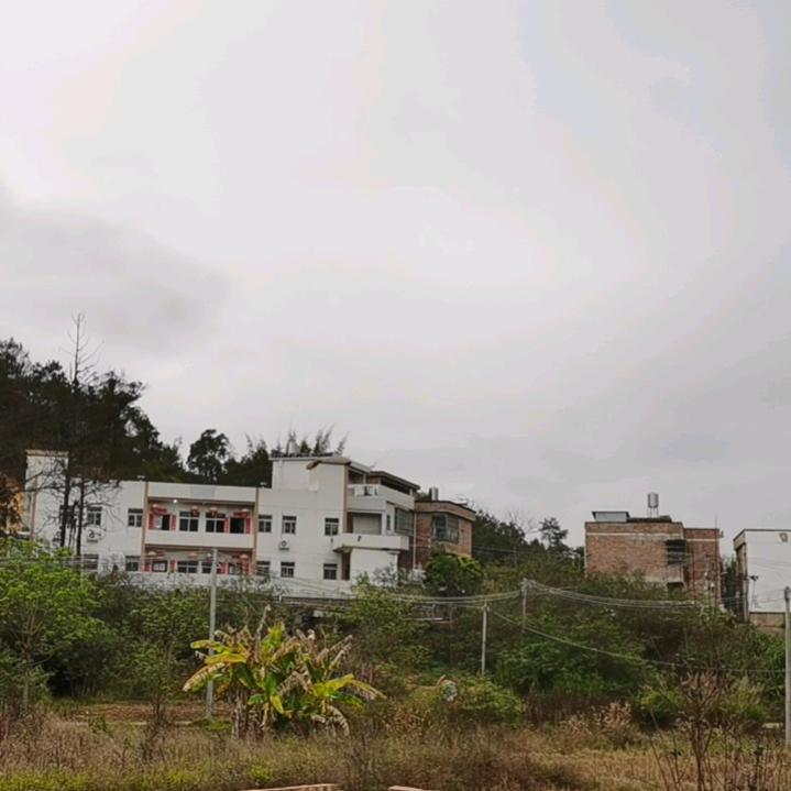 心缘悟道
