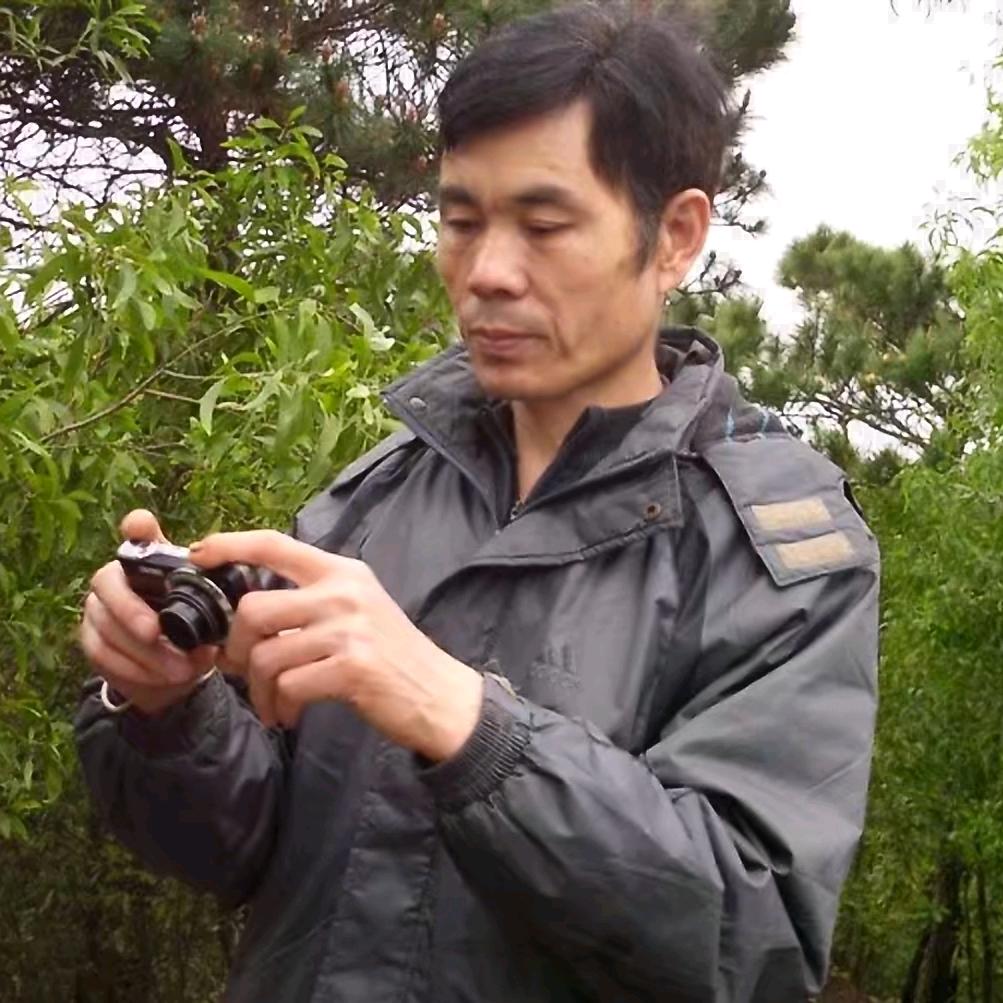 繁花落尽执何手