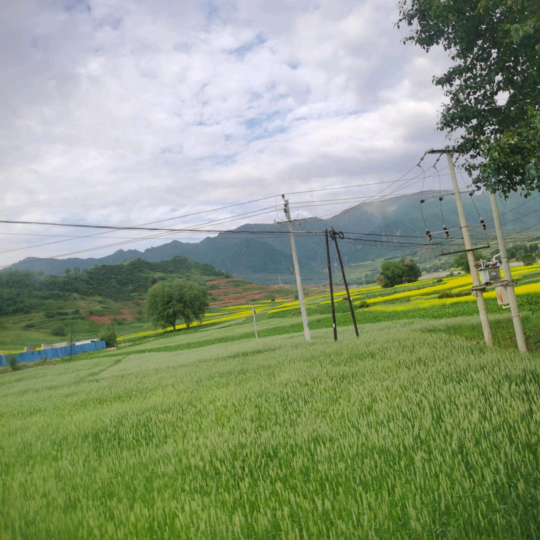 花若不动风又奈何