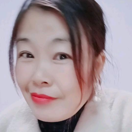 奋斗的小鸟