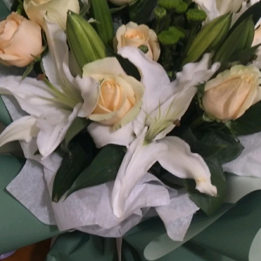 用户7689339125289红叶