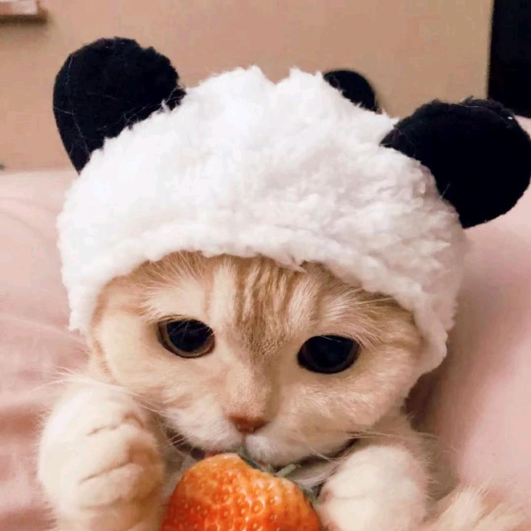 ζั͡๓阳光下的行走°