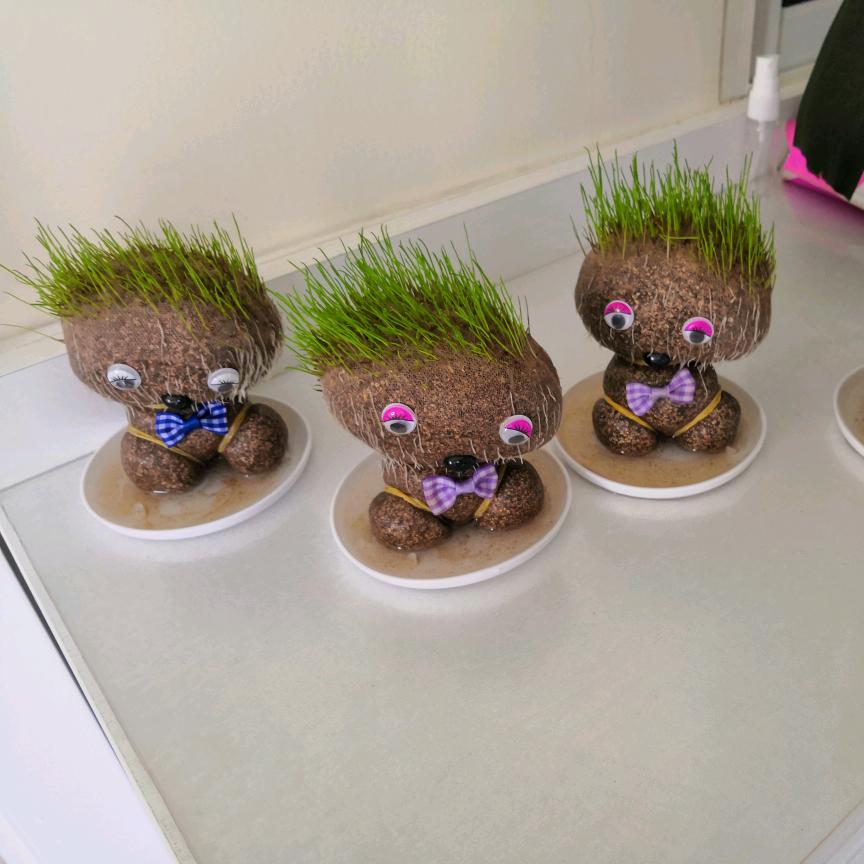 以花的姿态凋零