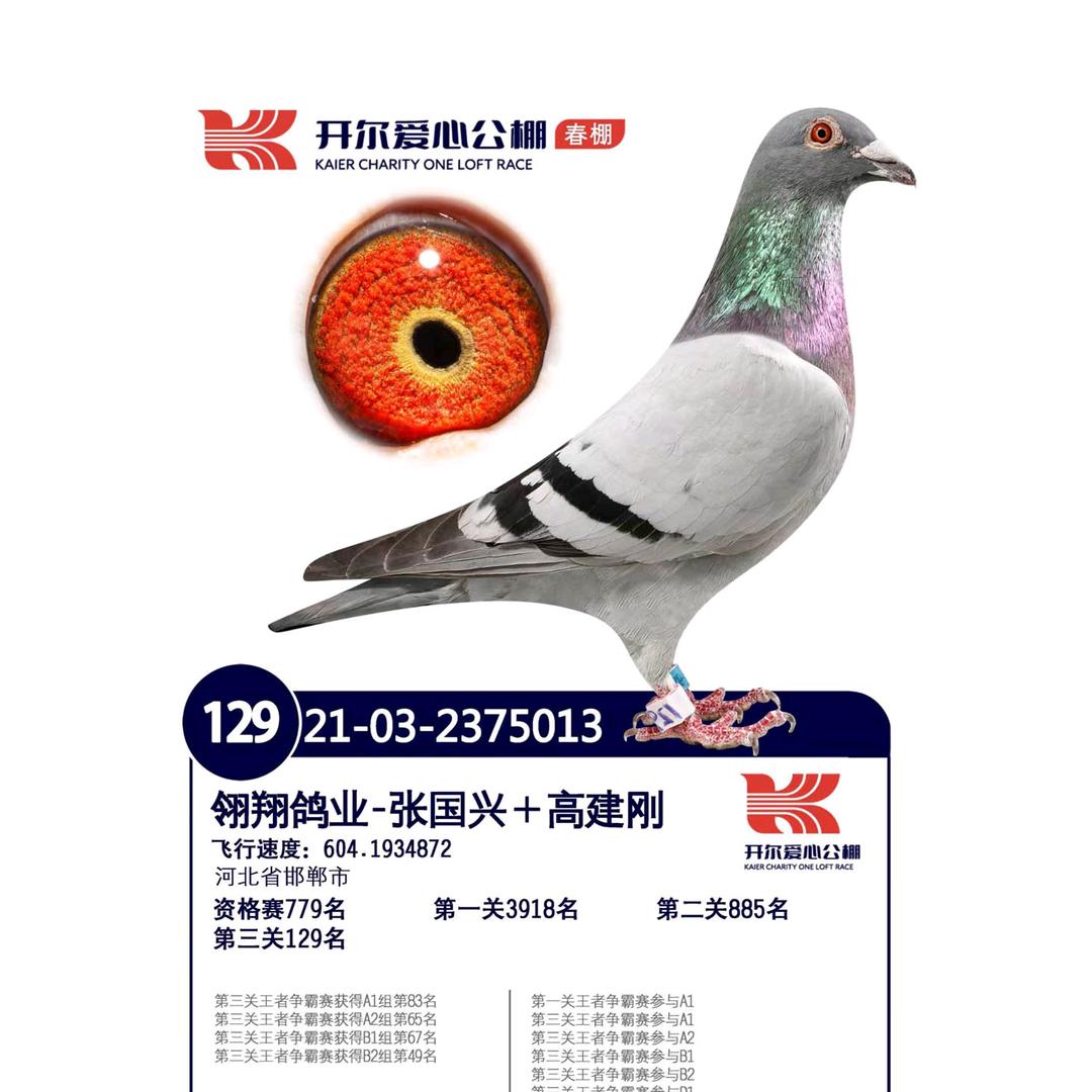 南乐县翎翔电子商务有限公司