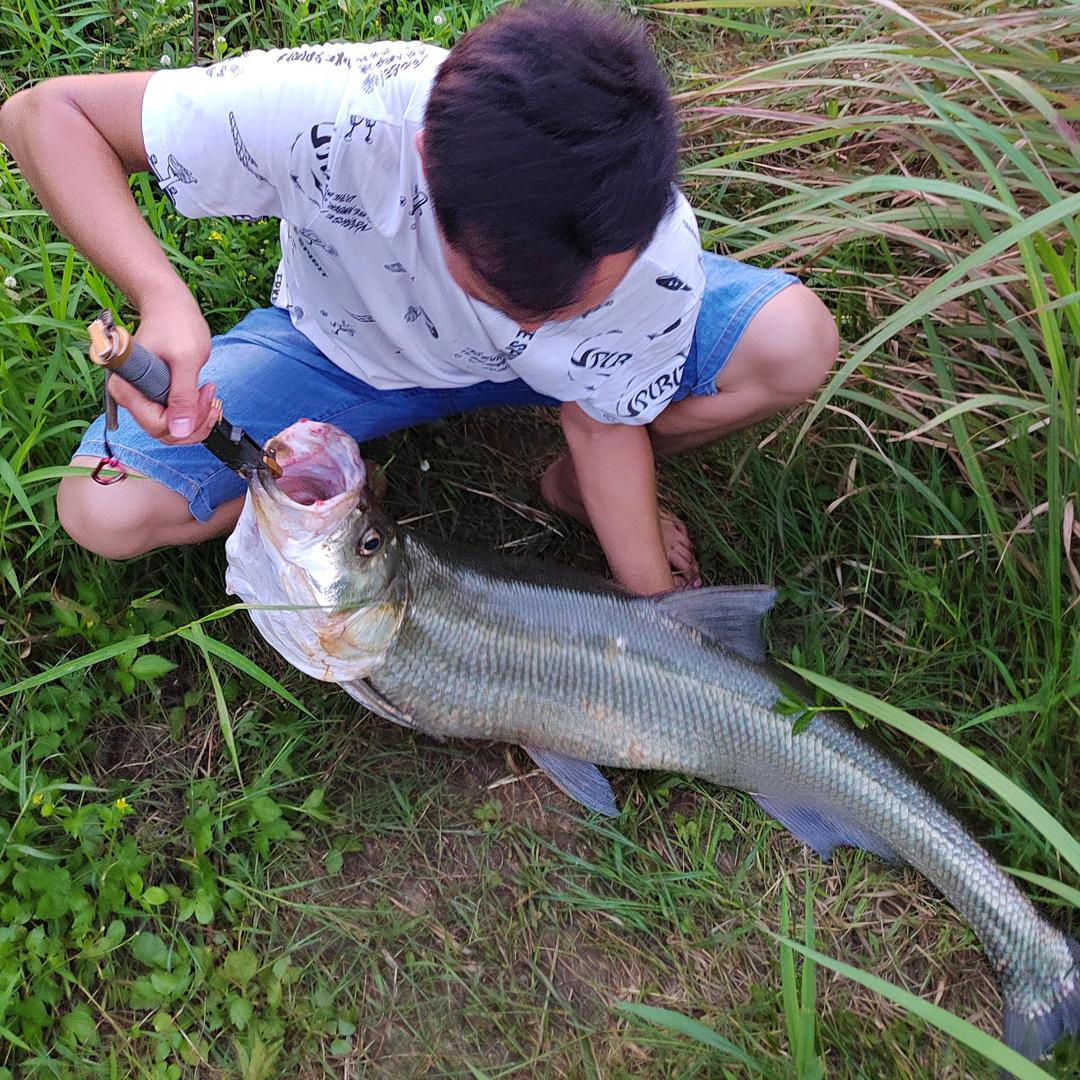 川流 — Luer的头像