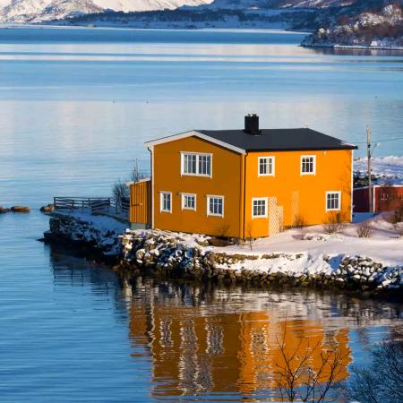 爱情一号店