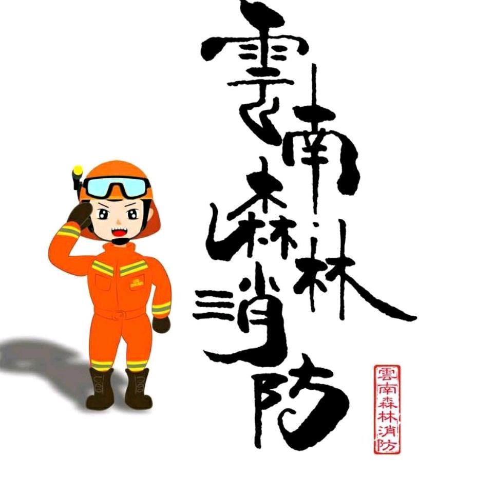 云南森林消防