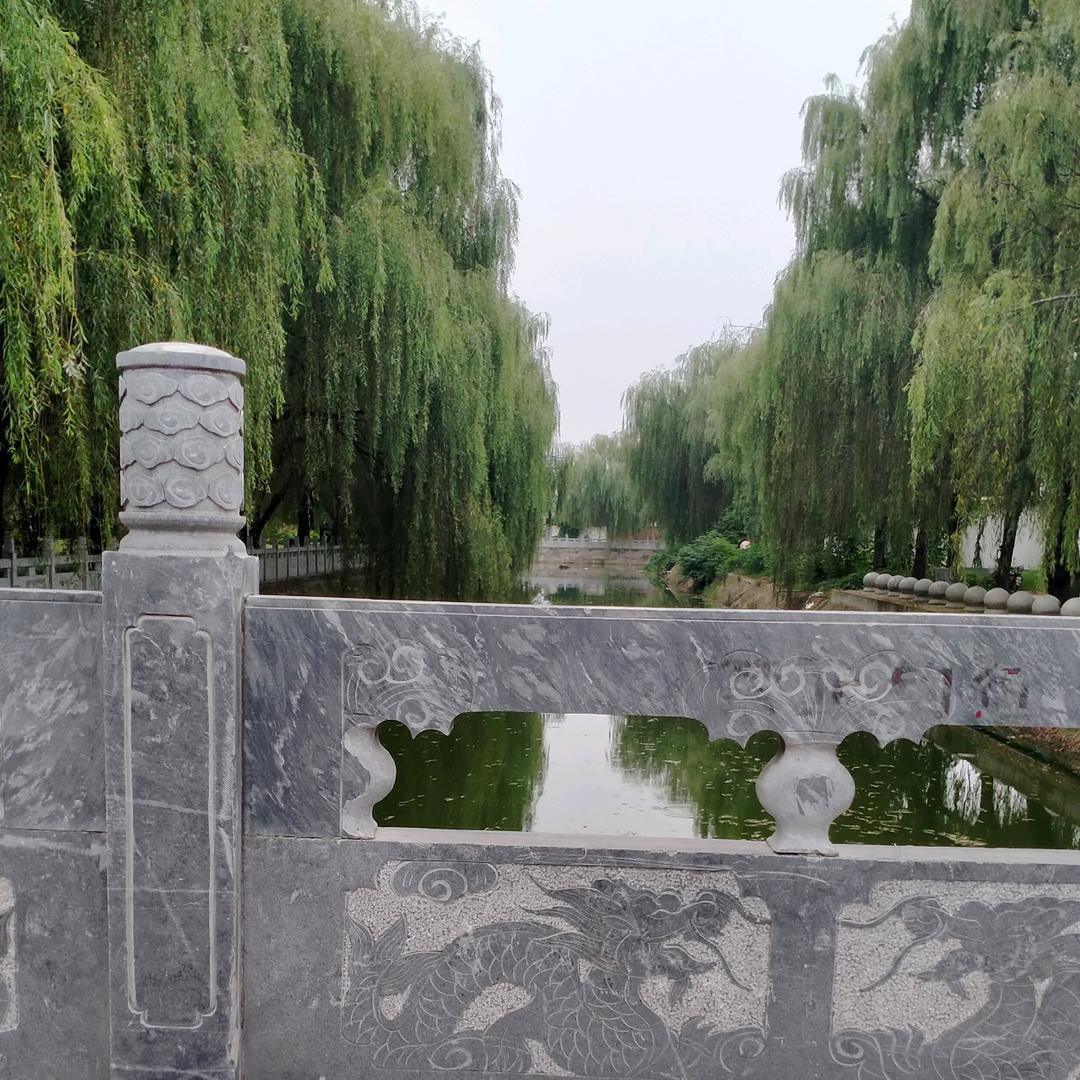 禾苗