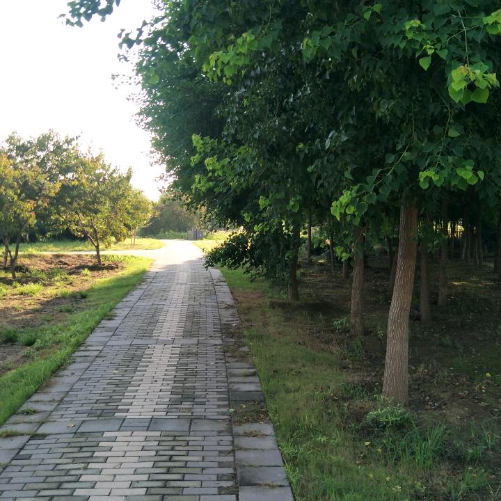 静水