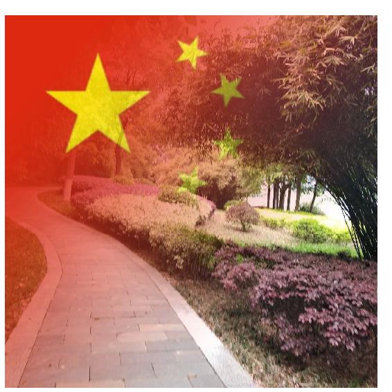 梓沬