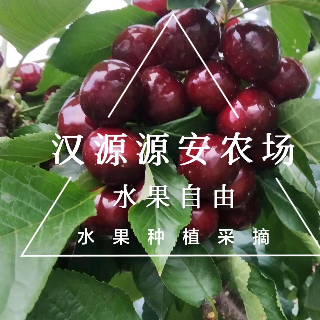 汉源县源安家庭农场