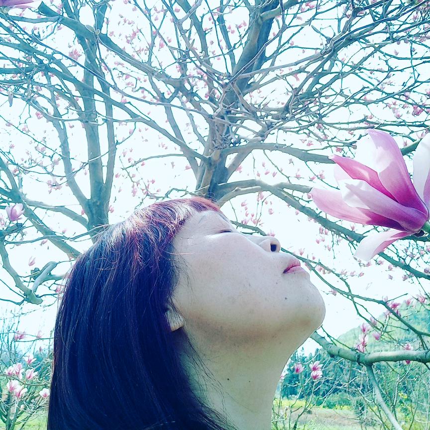 酸果果的退休生活