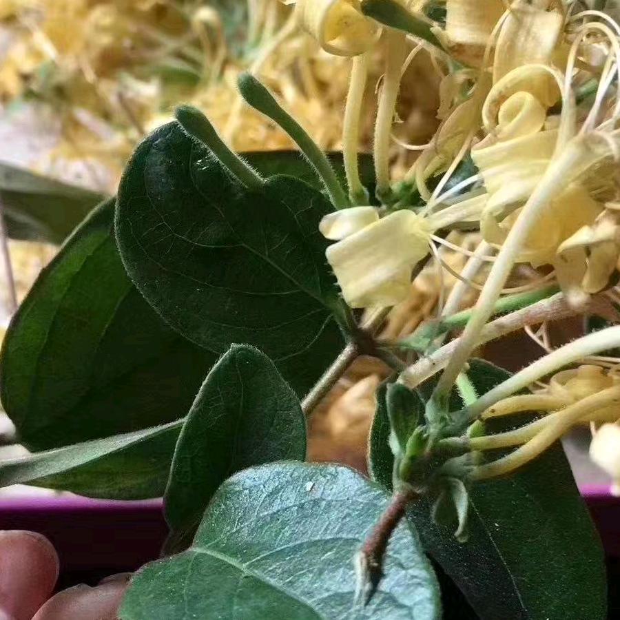 说道做道（拒私聊）