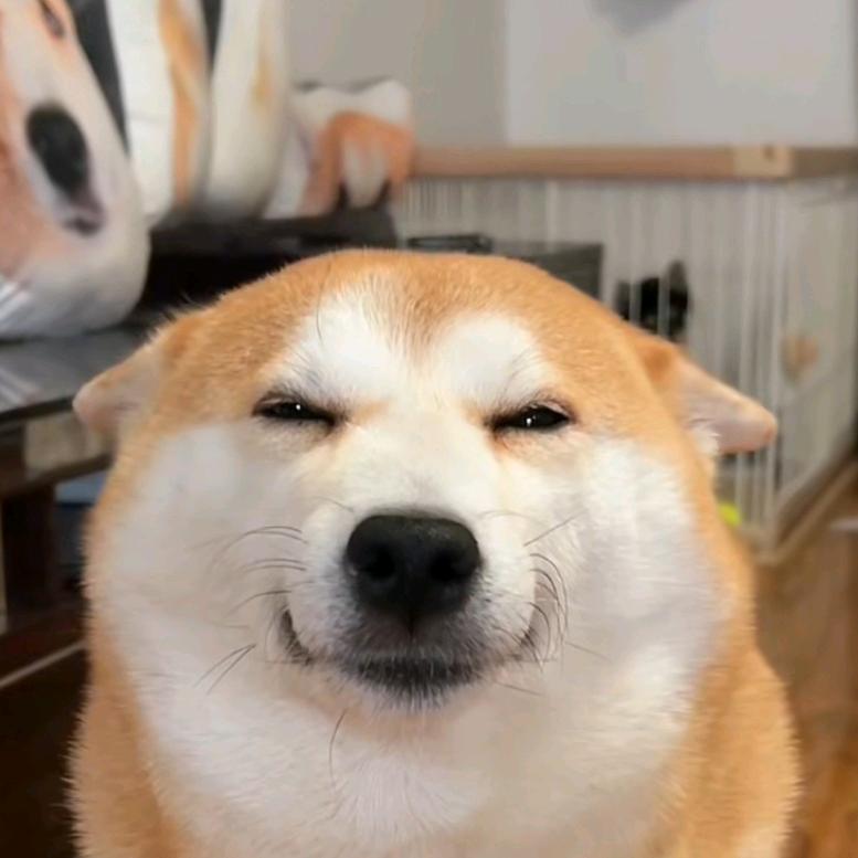 💫是啵啵呀