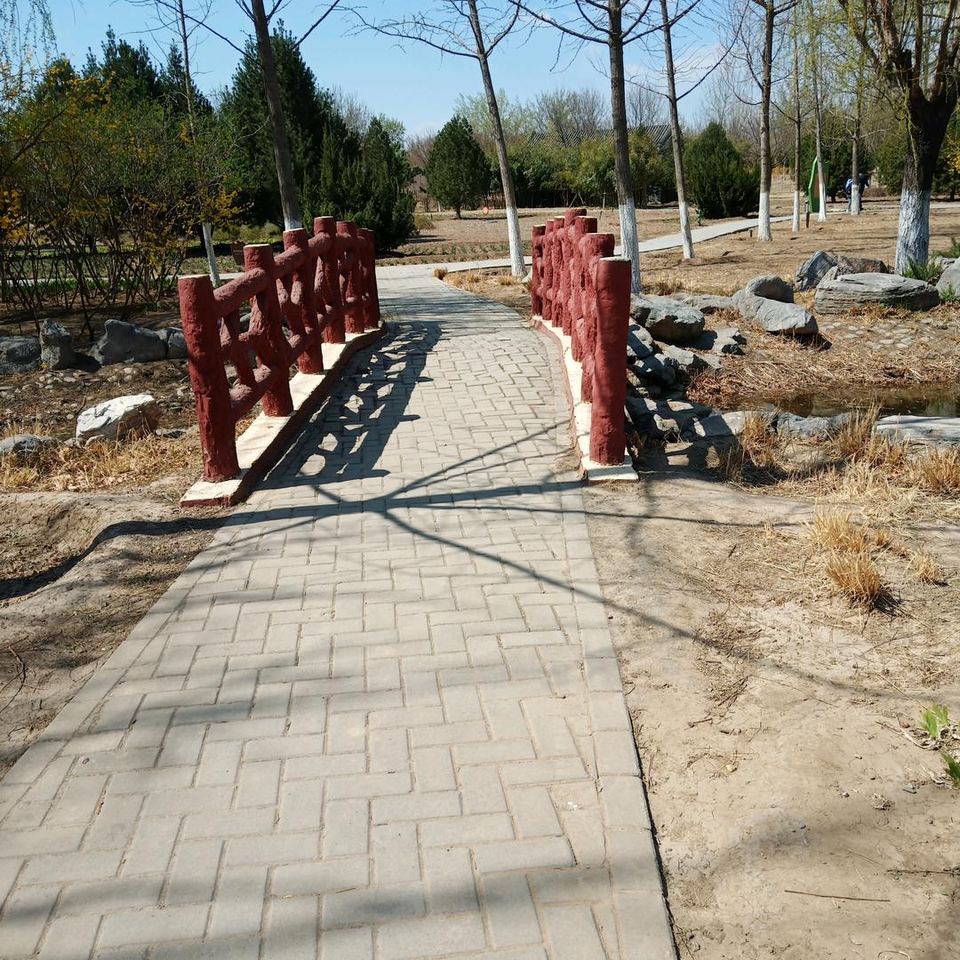 🍒心向🎵阳光👯‍♂️🇲🇦