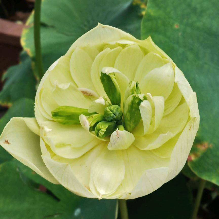 用户淡然一笑《拒私聊》《123071