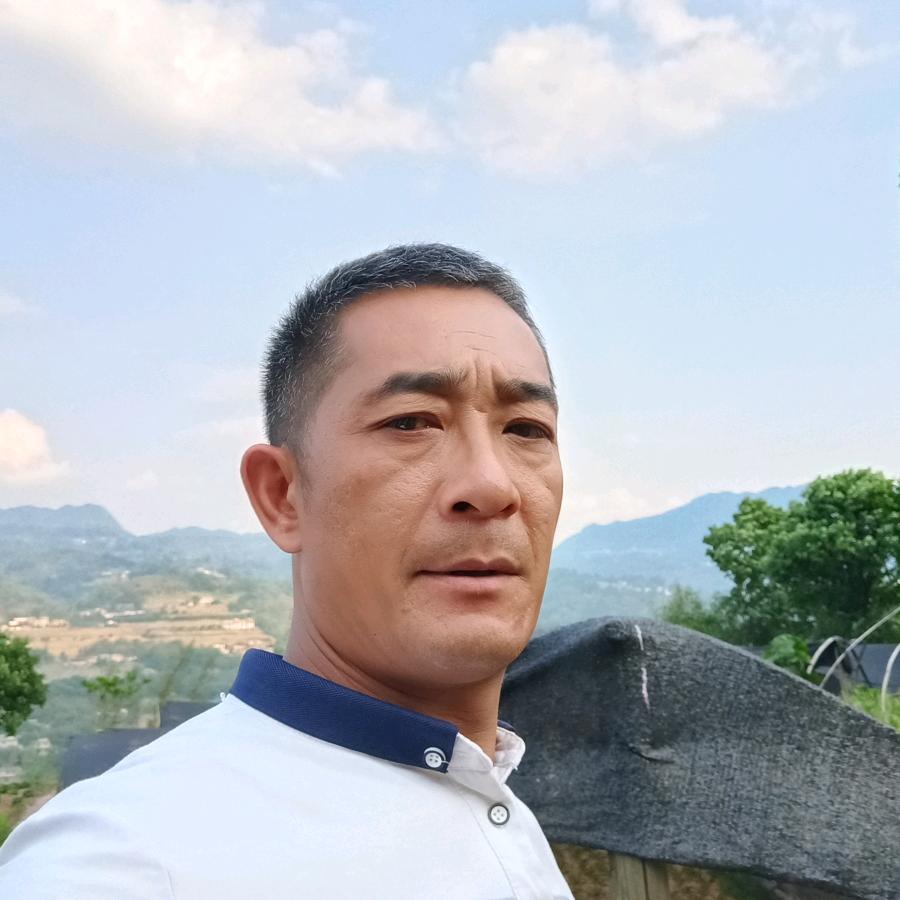 张师傅专业做无烟柴火灶