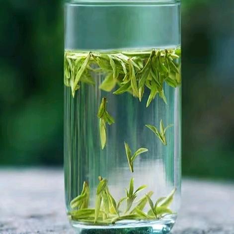张庆茶品-老味茉莉