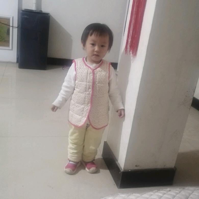 杨国琴