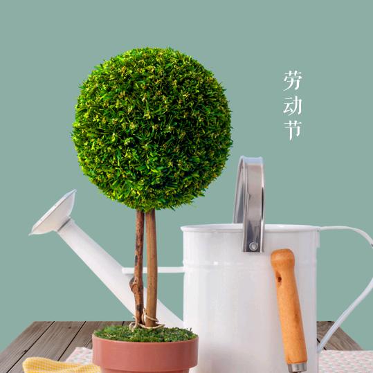 陈传忠
