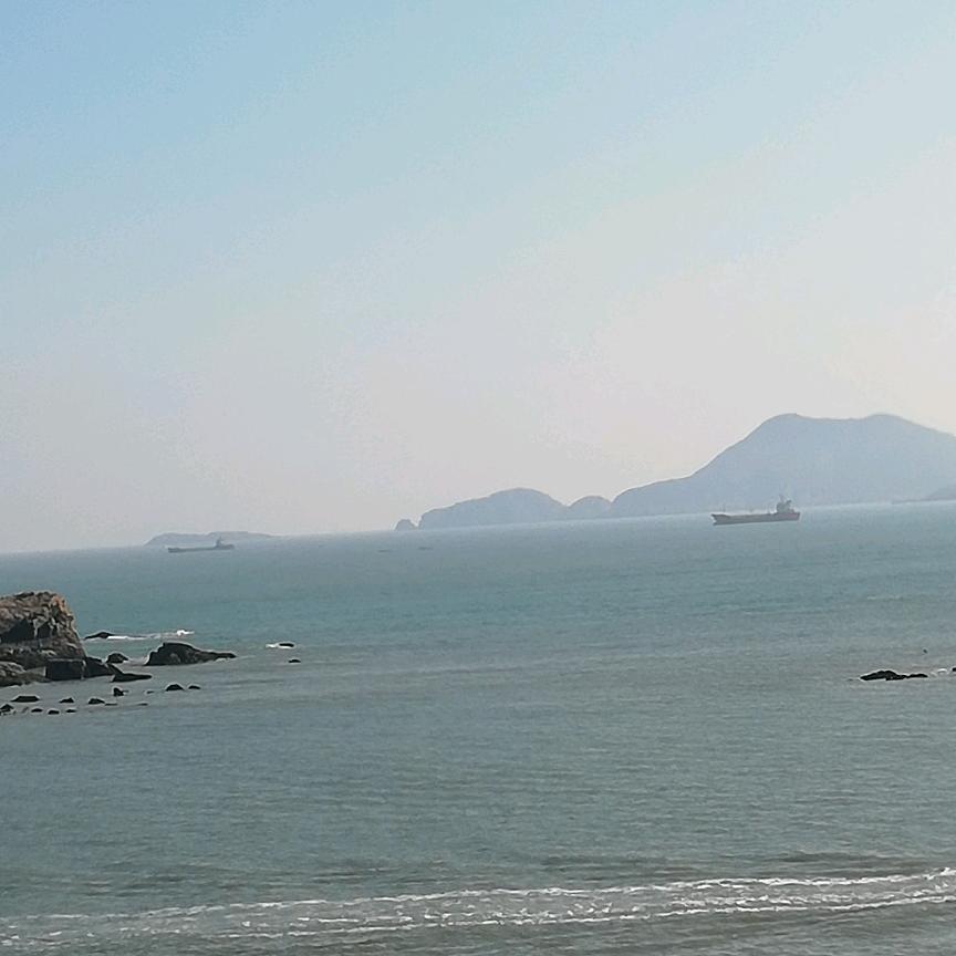 早茶月光