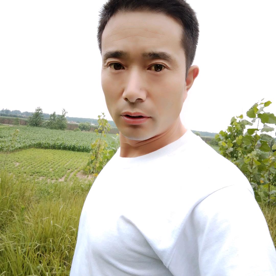 漆