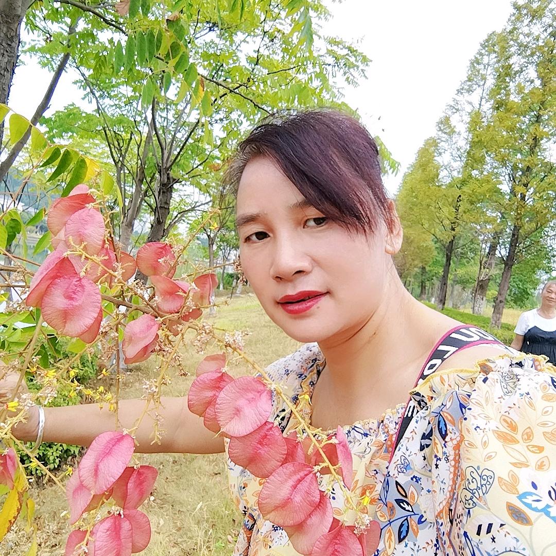 简简单单才是真