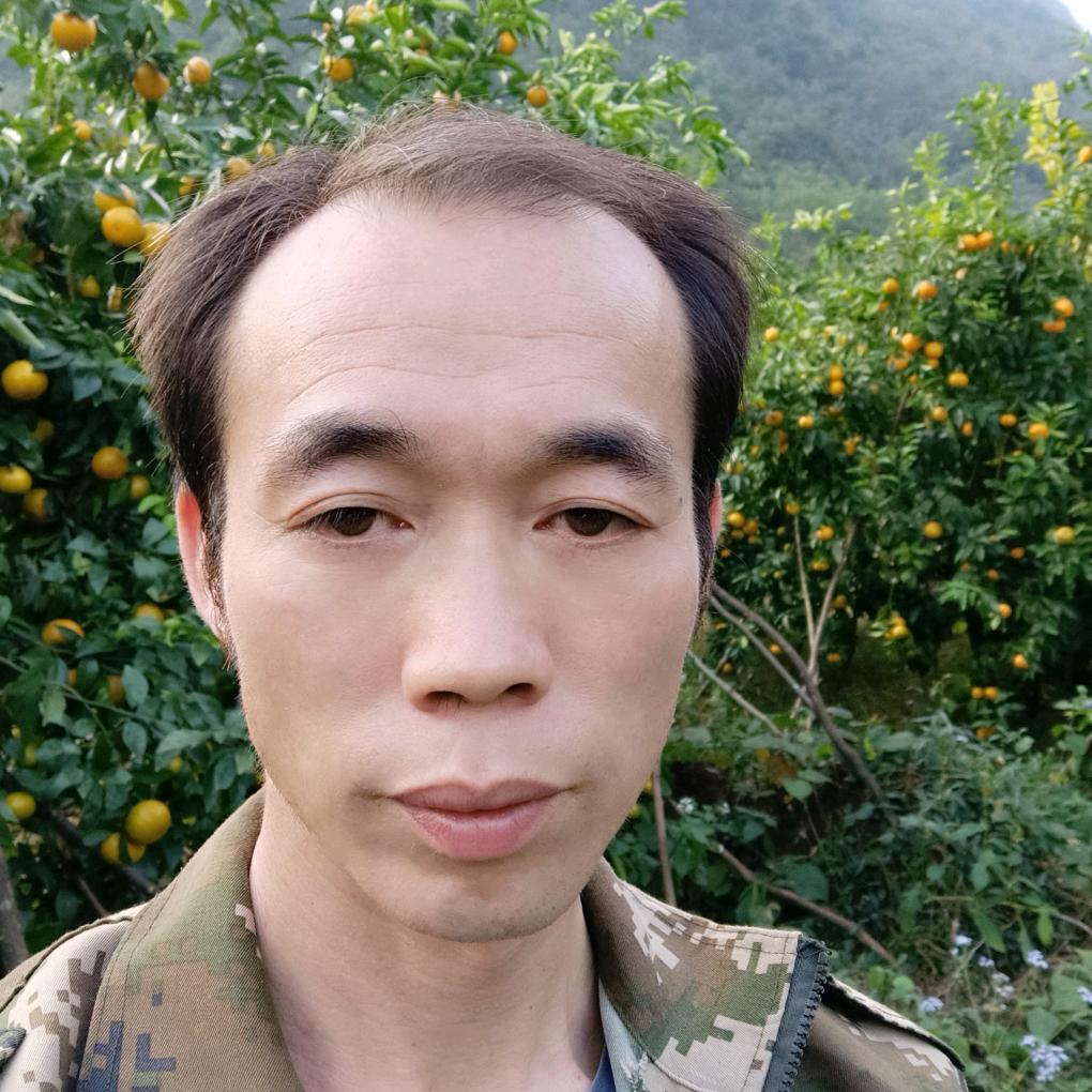 庆哥