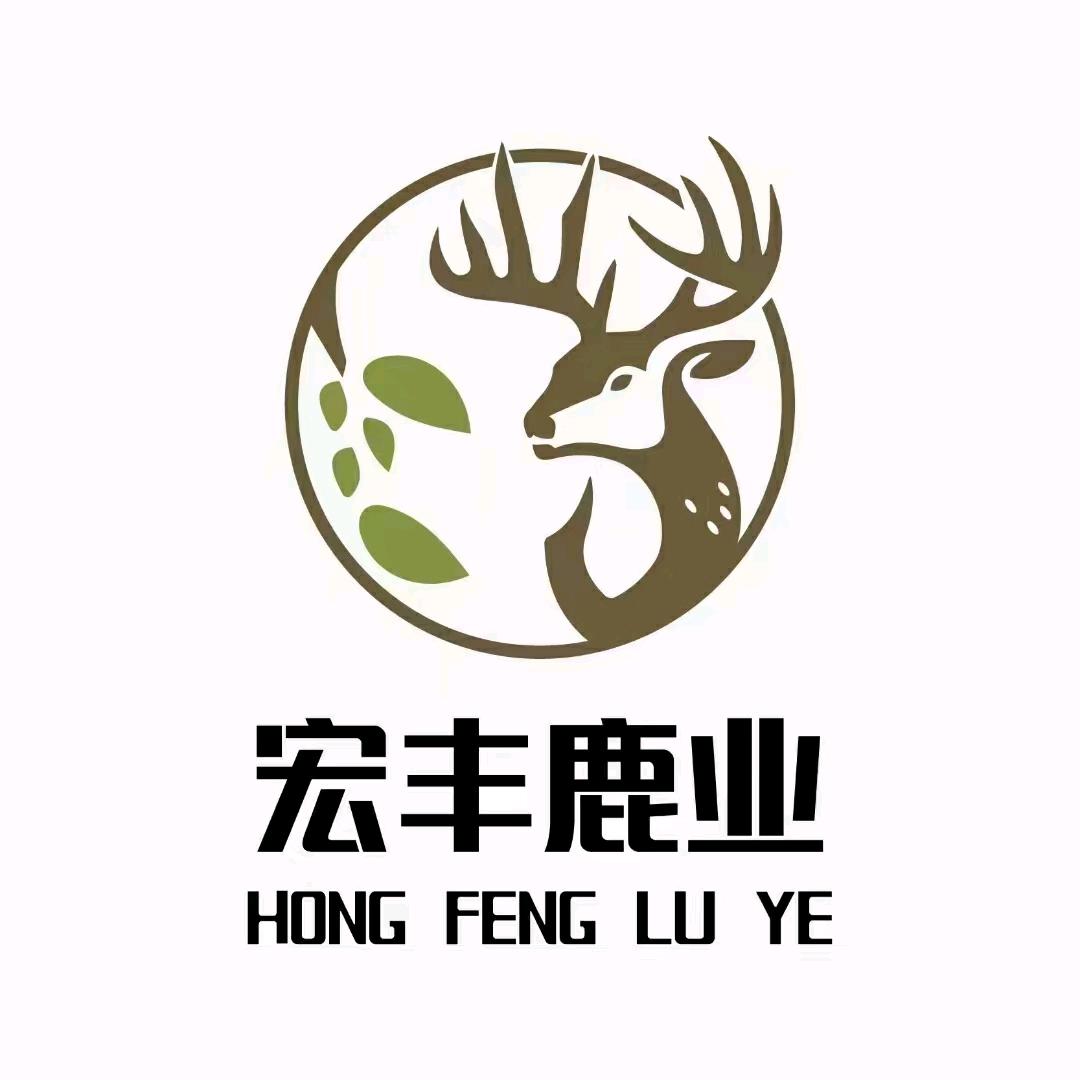 梦想成真