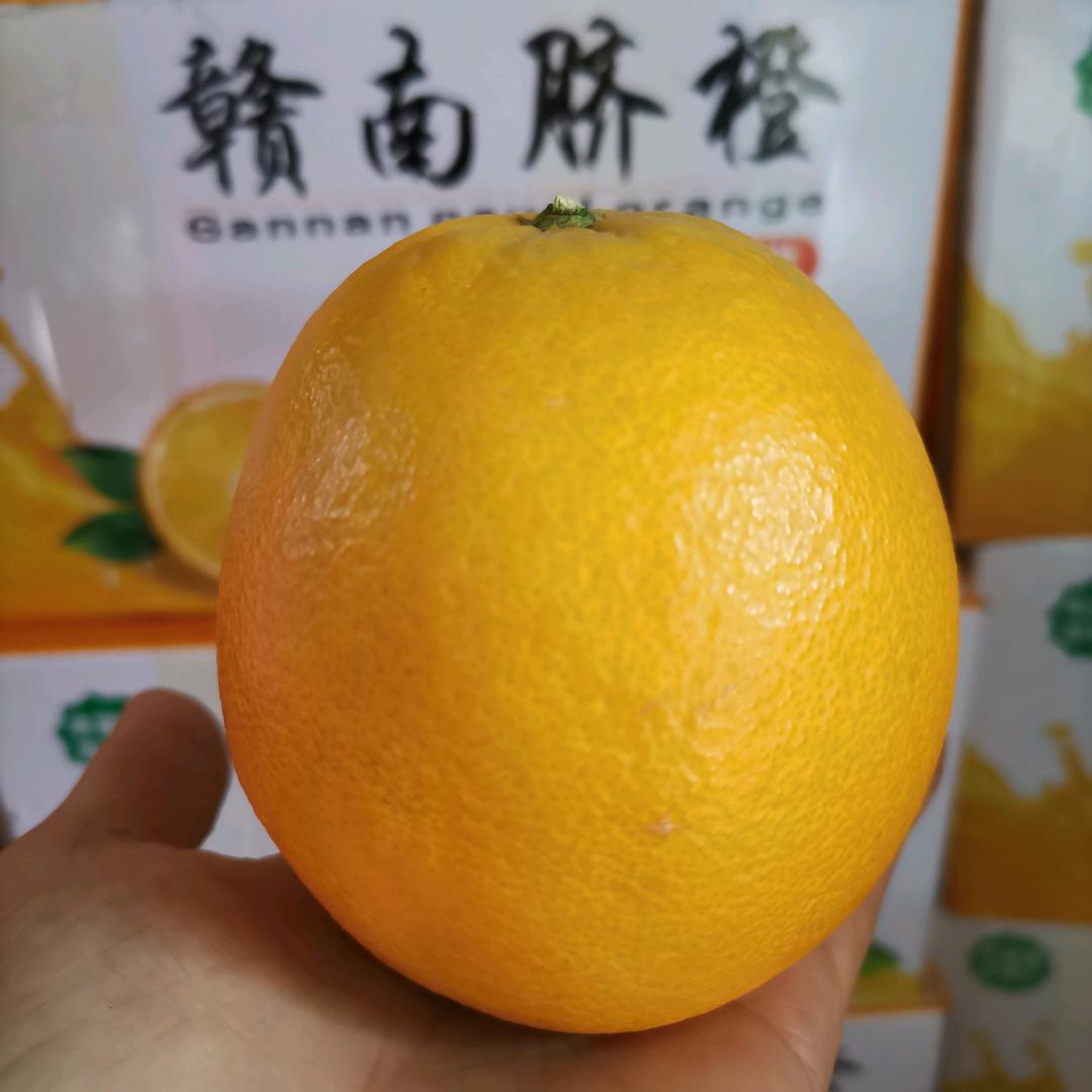 海口龙华木原雅百货商行