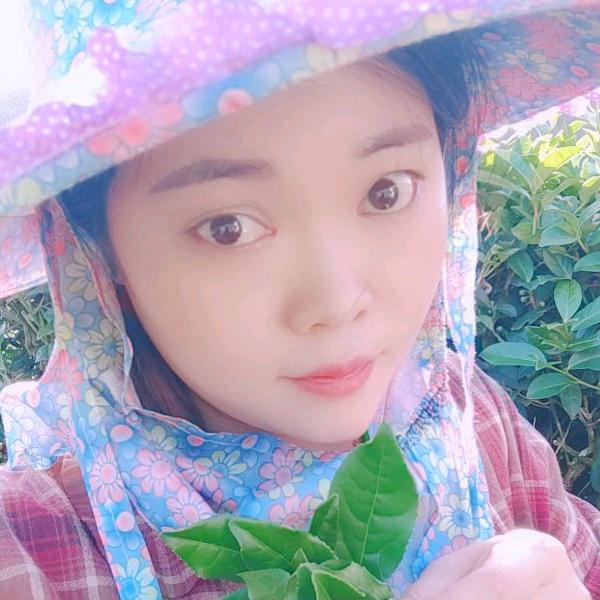 茶好来