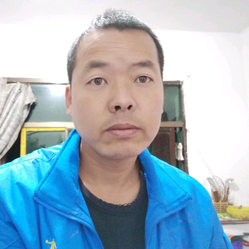 荷东猛士贴砖