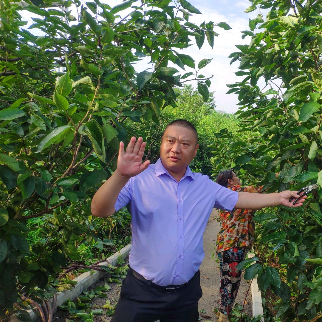 厚强果树苗木专营店