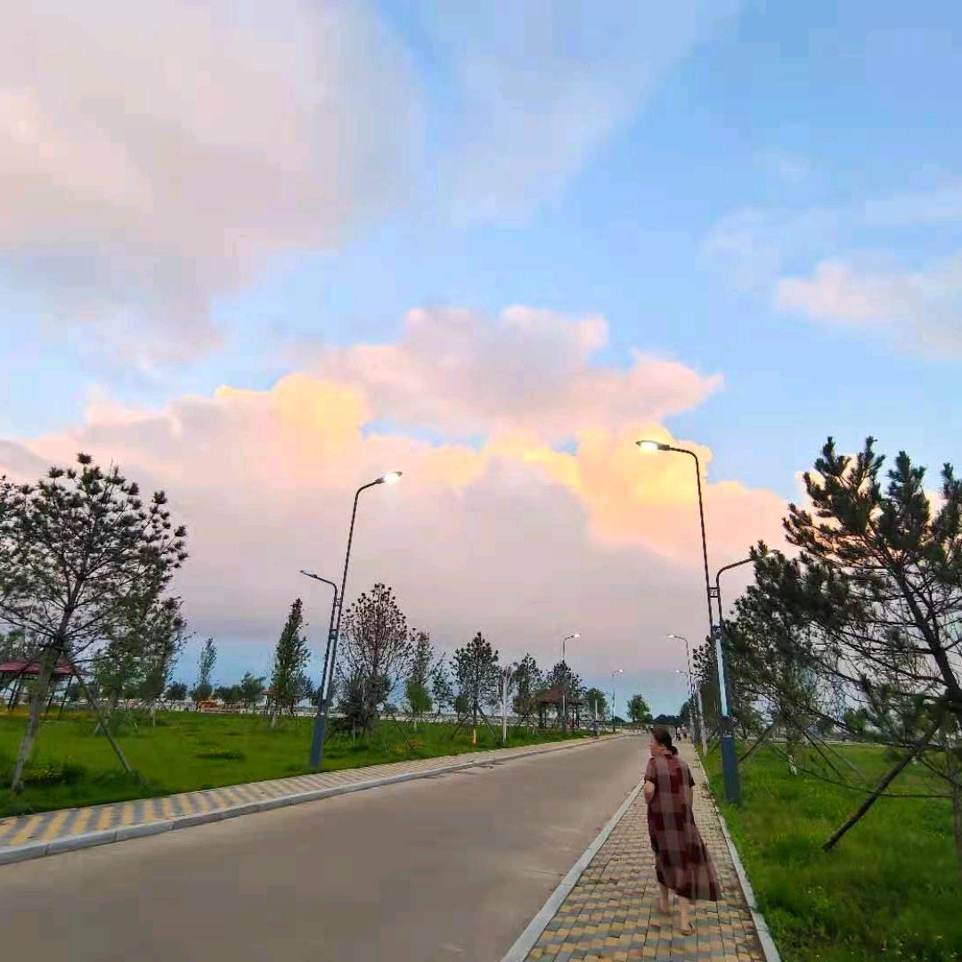 随缘525