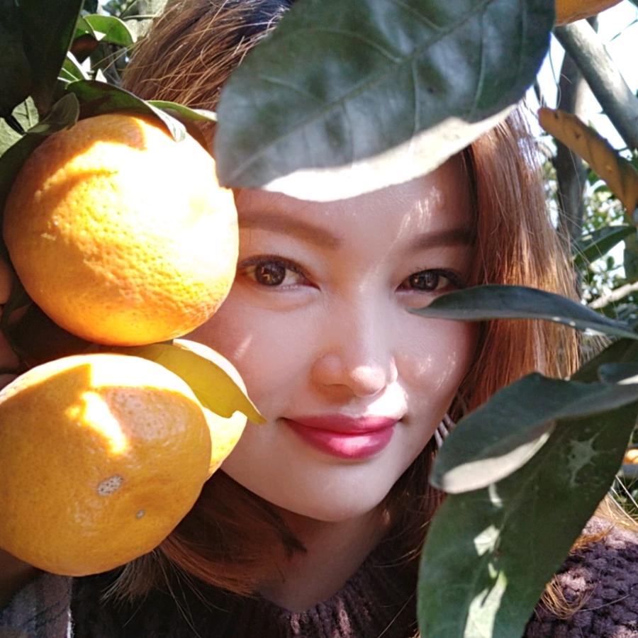 🍊橘子🍊