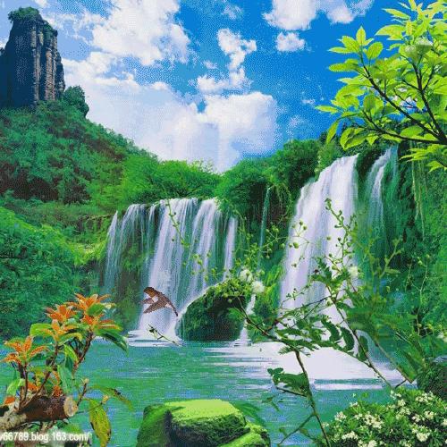 阳光丹丹