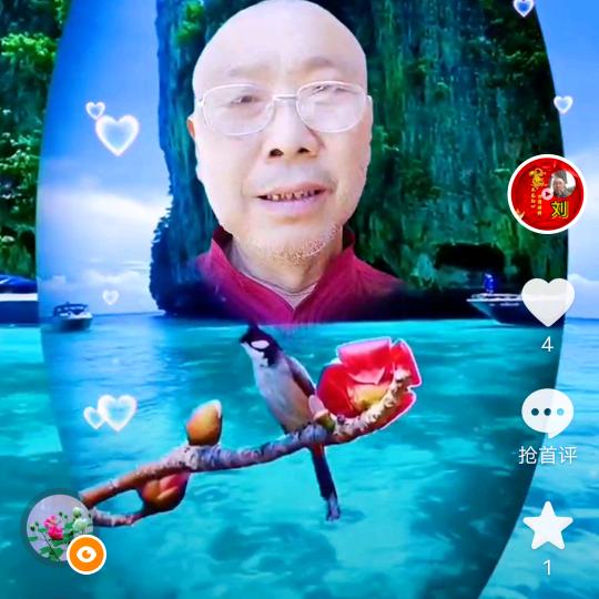 南山青松