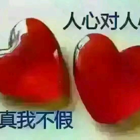 纵横天下