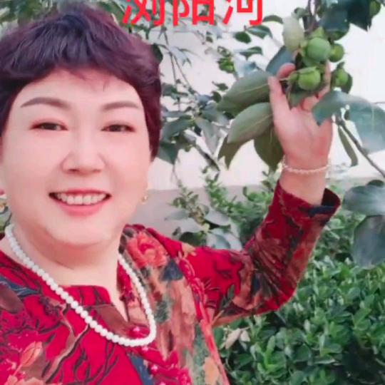 林家二姑娘拒绝聊天