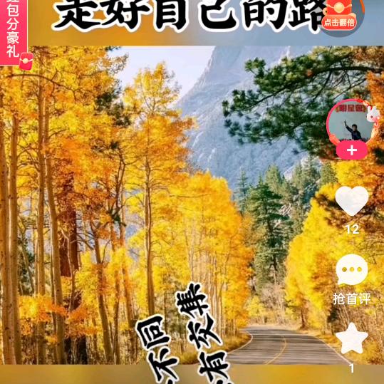 漂泊异乡