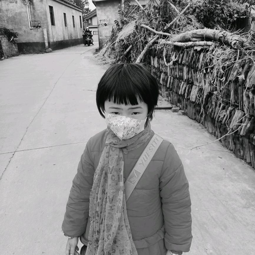 申卉