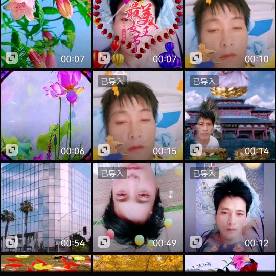 梦想成真🌹🌹🌹🌹🌹🌹