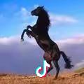 涛声依旧