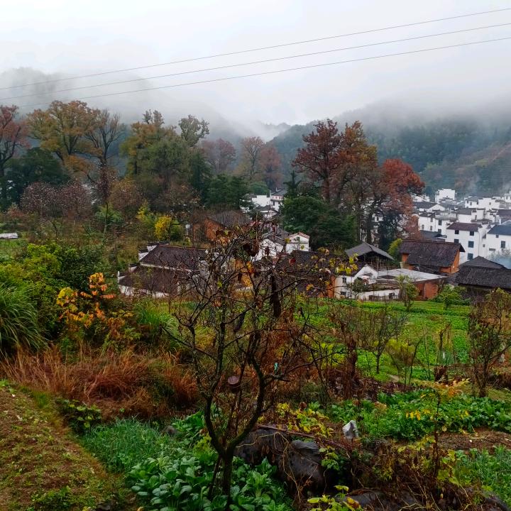 石城翠韵民宿，解忧草雨丁香