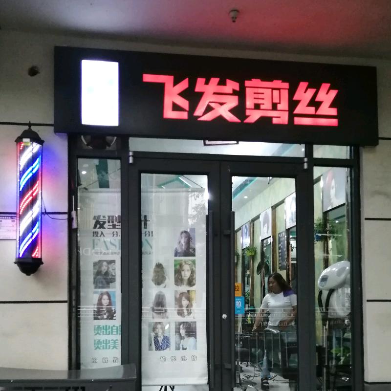 飞发剪丝