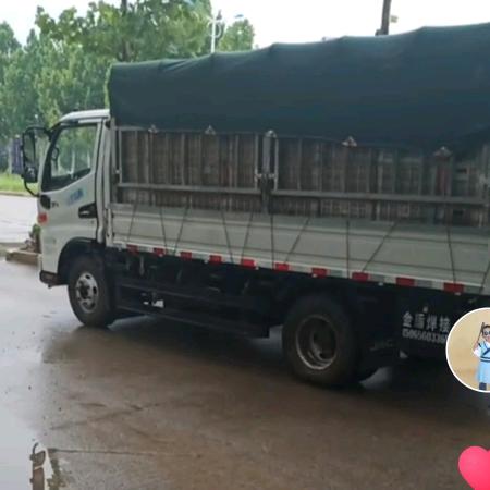 临朐山旺镇货车4米2车出租，售干猪粪